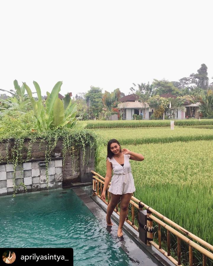 Nirankara Private Pool Villa - By Ubud Paradise מראה חיצוני תמונה