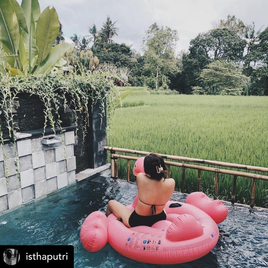 Nirankara Private Pool Villa - By Ubud Paradise מראה חיצוני תמונה